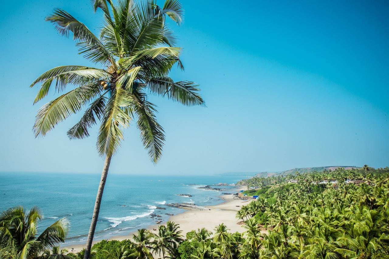 Aria Beach Resort فاغاتور المظهر الخارجي الصورة